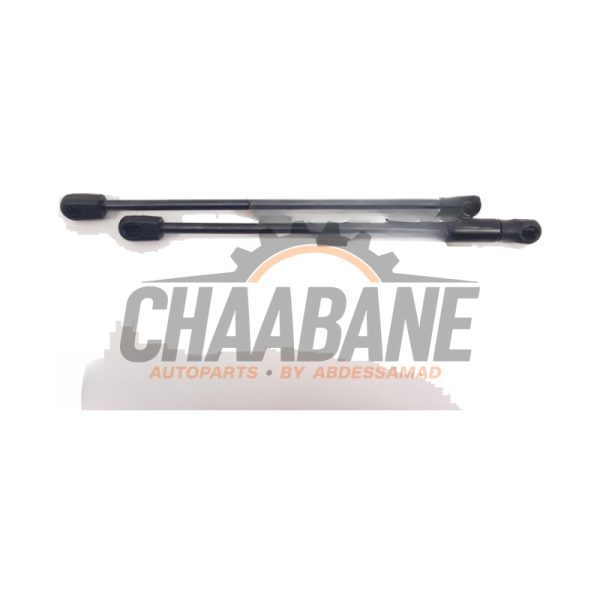 Amortisseur kit capot moteur 5123739749305 BMW iX3 80 kWh 2020