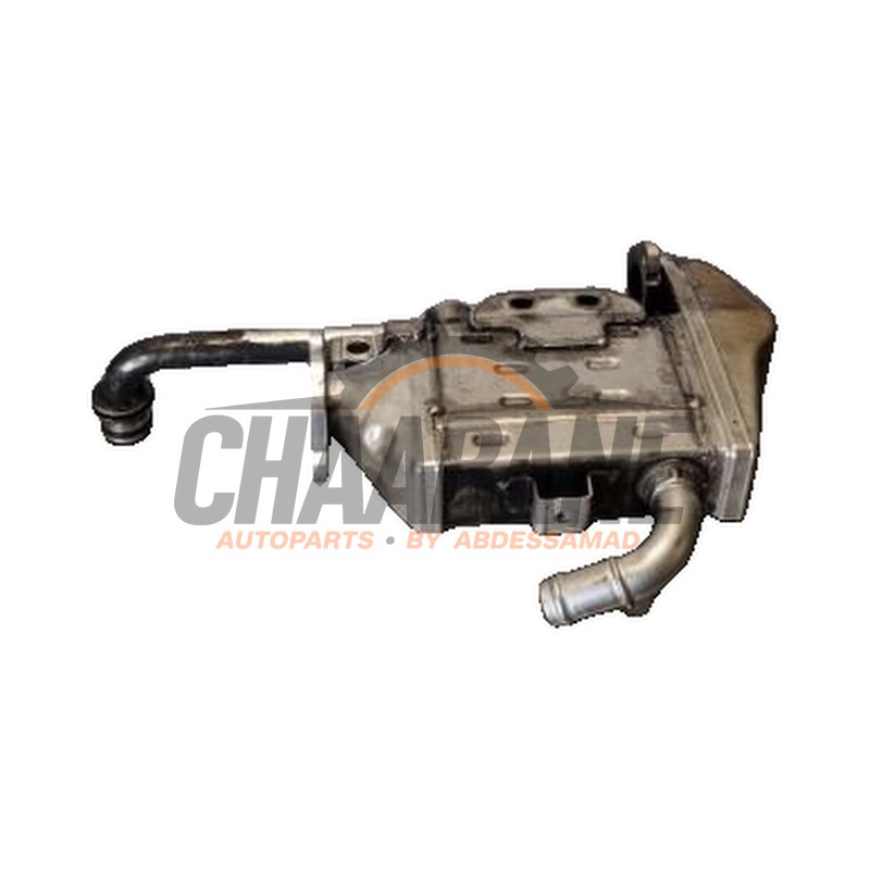 Refroidisseur RGE 600678AF28119 Mercedes B (W247) 2.0 B-200d