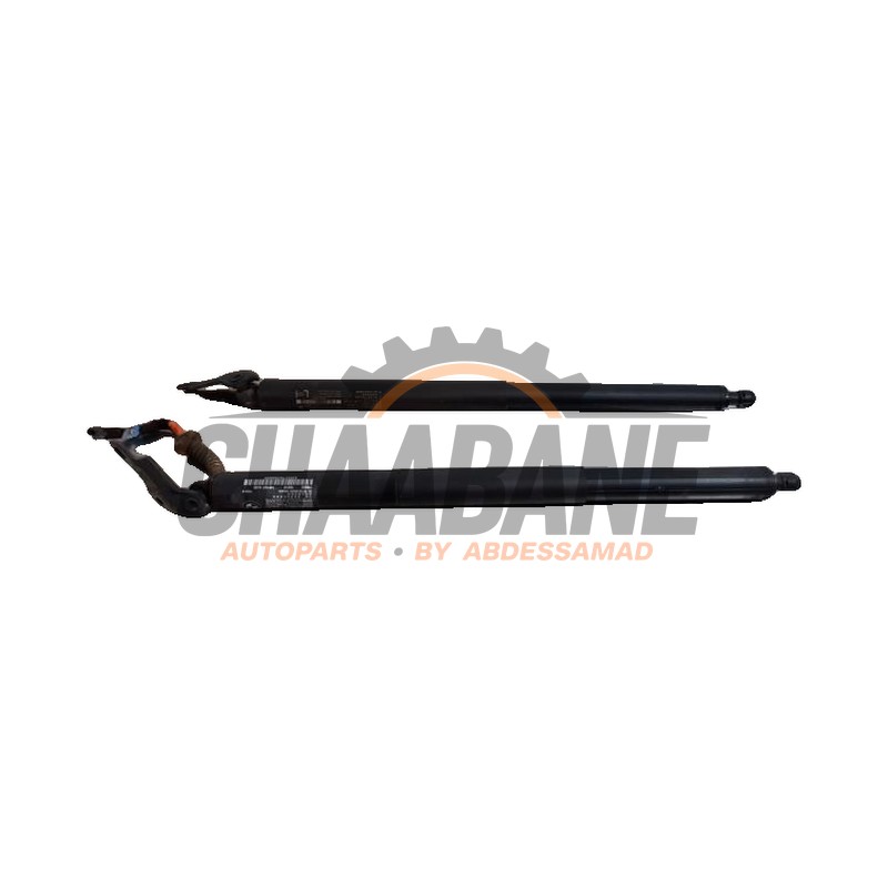 Kit amortisseur couvercle coffre 51247481807 BMW X1 (F48) sDrive 18d 2.0 16V 2014 / 2022