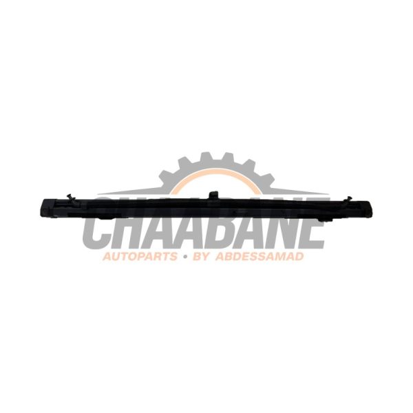 Grille pare-chien 8W9861691A Audi RS 4 Avant (B9) 2.9 V6 TFSI 24V 2017