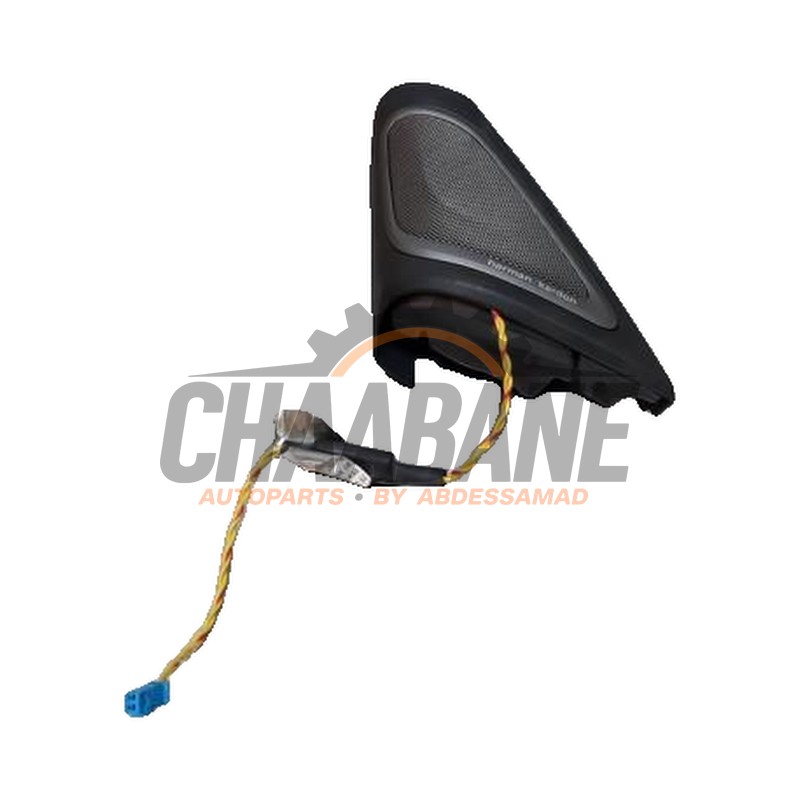 Tweeter BMW 7 serie (G11/12) 740i,Li 24V 2015 / 2022