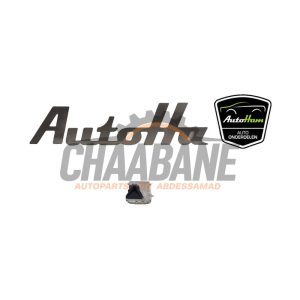 Camera avant A0009007607 Mercedes GLA (156.9) 1.6 180 16V