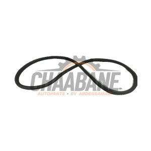 Joint caoutchouc portiere 4portes arriere gauche 6F0867367E Seat Ibiza 2017