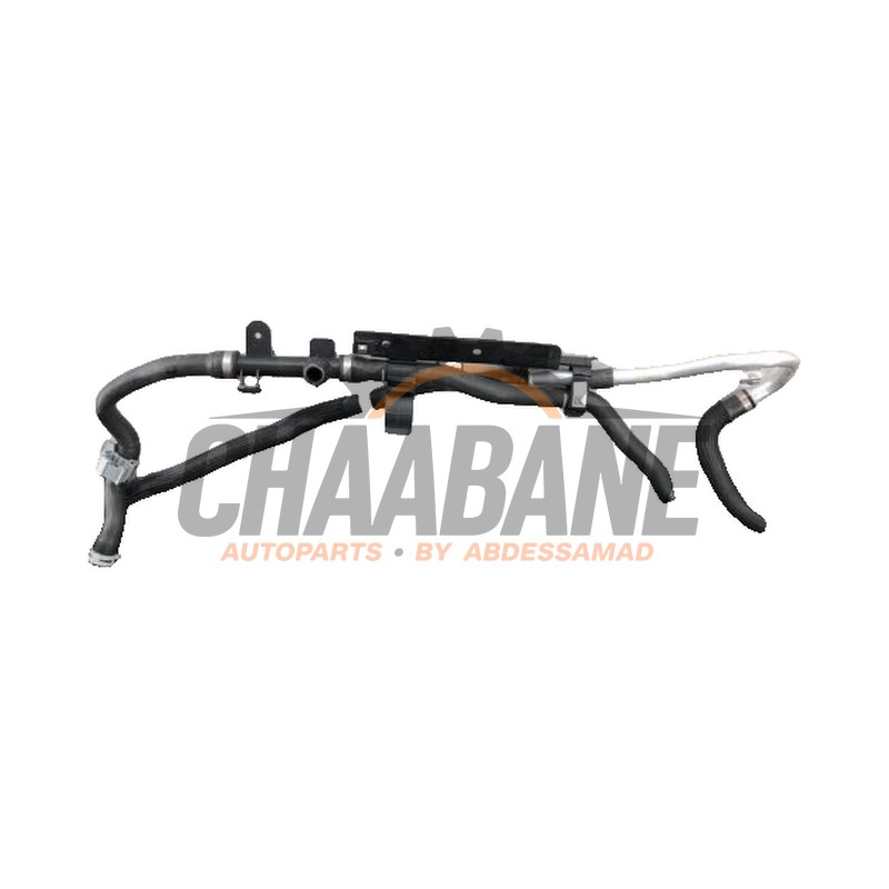 Tuyau radiateur 64219873679 BMW 5 serie (G60) 530e 2.0 TwinPower Turbo 16V 2023