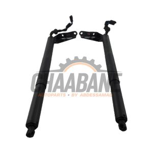 Coffre moteur 7423847 BMW X2 2017 / 2023