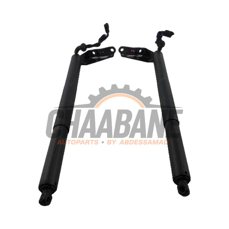 Coffre moteur 7423847 BMW X2 2017 / 2023