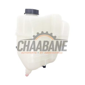 Vase dexpansion M8E28A080AE Landrover Range Rover Sport (L1) 3.0 V6 P460e