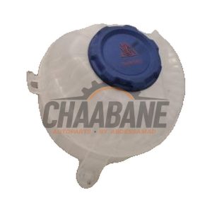 Vase dexpansion 4KE121405A Audi E-tron Sportback (GEA) 2019