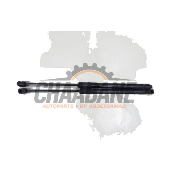 Kit amortisseur gaz hayon 2GM827550A Volkswagen T-Cross 1.0 TSI 110 12V 2018