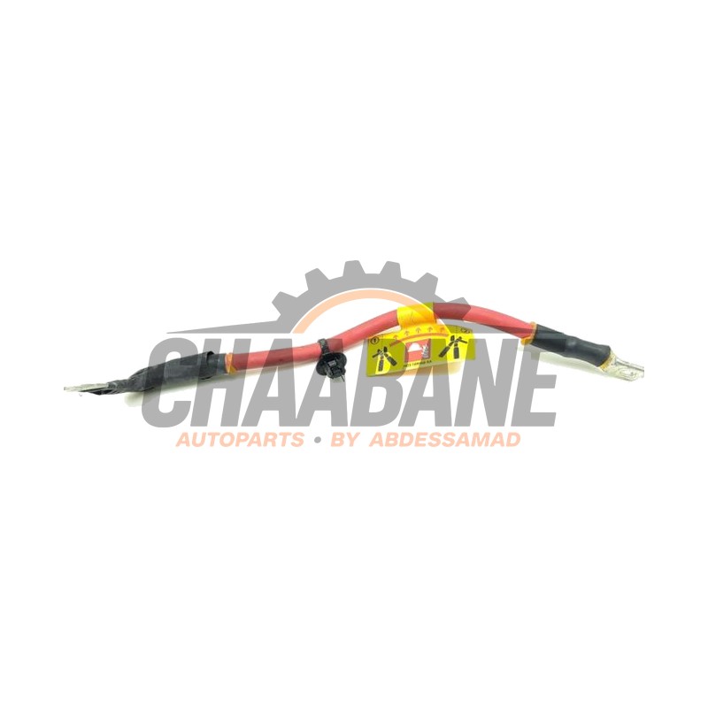 Cable (divers) J9D318N968AA Jaguar I-Pace EV400 AWD