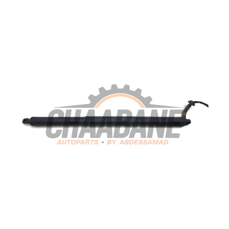 Amortisseur a gaz arriere gauche 7350837 BMW X1 (F48) xDrive 18d 2.0 16V 2014 / 2022
