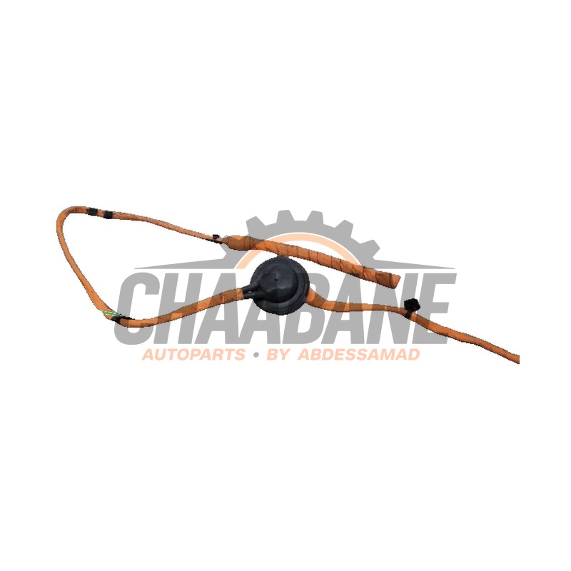 Cable haute tension 1EA971475E Skoda Enyaq iV Coupe RS 2021