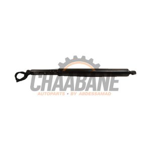 Amortisseur a gaz arriere gauche 7954153 BMW IX 2021