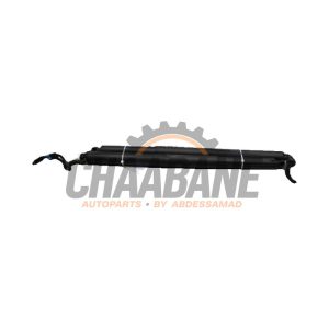 Verin de coffre 17893910 BMW X2 (F39) sDrive 20i 1.5 12V TwinPower Turbo 2017 / 2023