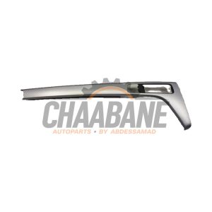 Bande decorative 8W1863969LWG1 Audi RS 5 Sportback (F5A/F5F) 2.9 V6 TFSI 24V 2018