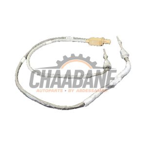 Sensor temperature d'echappement 06Q919519R Audi S3 Sportback (8YA) 2.0 T FSI 16V 2020
