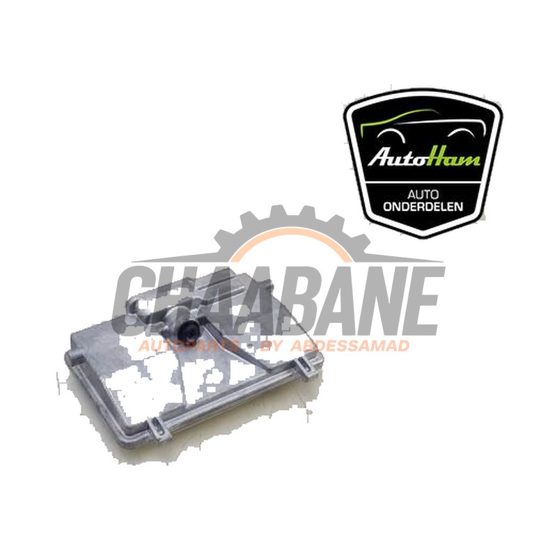 Camera avant 3Q0980654R Skoda Scala 1.5 TSI 2019
