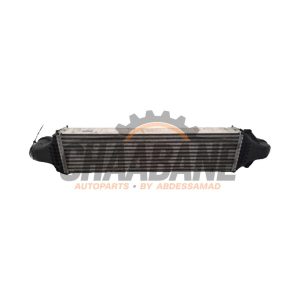 Echangeur air (Intercooler) A2465000900 Mercedes A (W176) 1.5 A-180 CDI, A-180d 16V