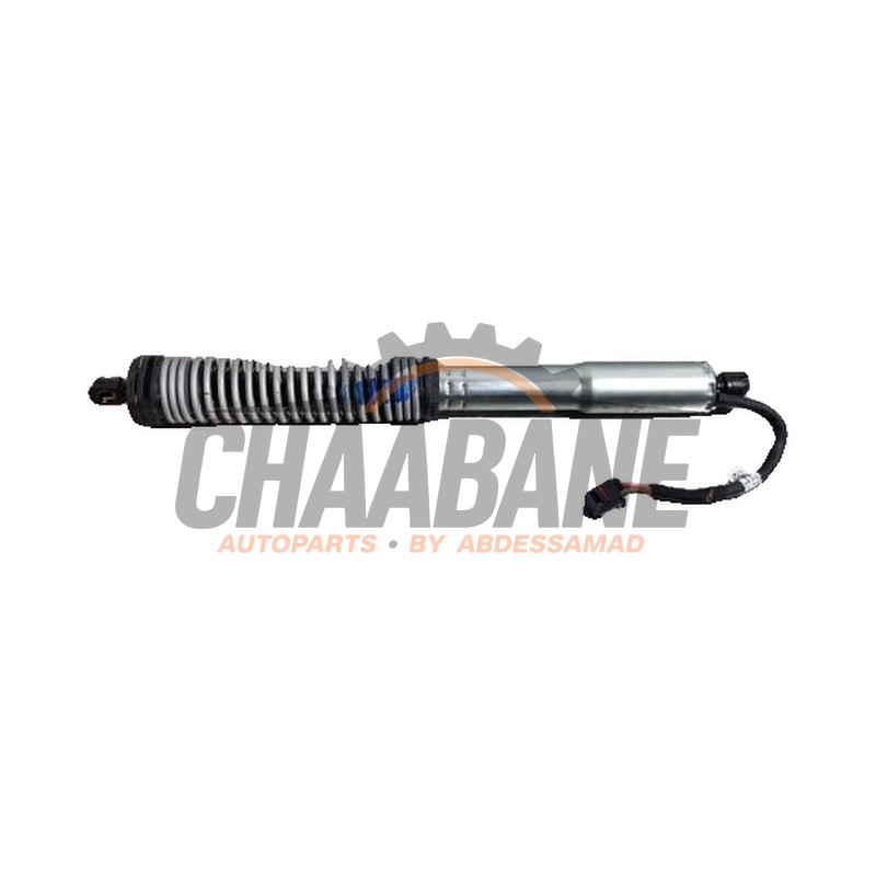 Amortisseur a gaz arriere gauche 670102992 Maserati Quattroporte VI 3.0 S Q4 Biturbo V6 24V 2012