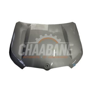 Capot 41009629102 BMW X1 (U11) 2022