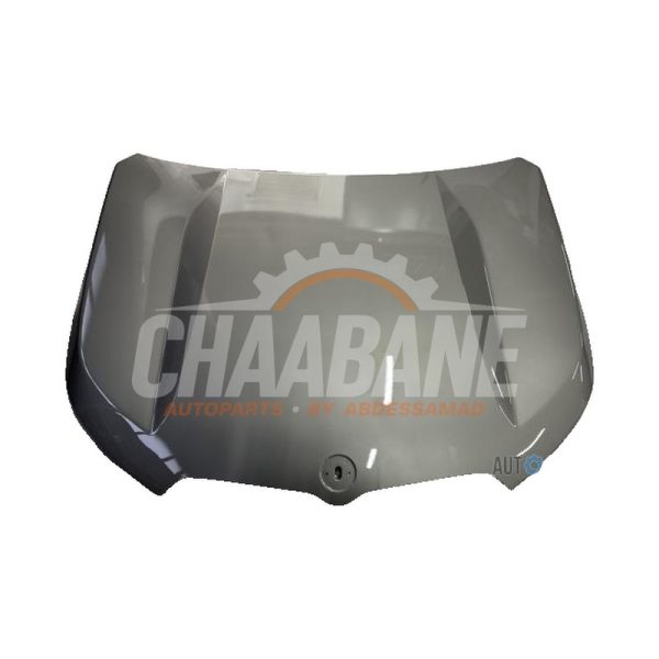 Capot 41009629102 BMW X1 (U11) 2022