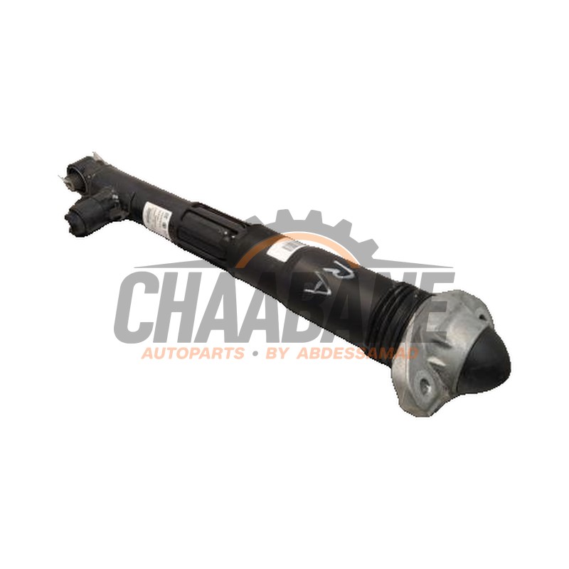 Amortisseur arriere droit 1EA512037Q Audi Q4 (F4B) 45 e-tron quattro 77 kWh 2021