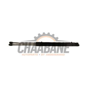 Verin de coffre 7456042 BMW 1-Serie 2019