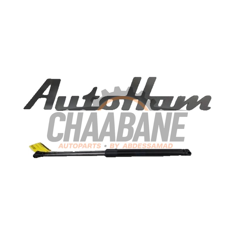 Kit amortisseur gaz hayon 5FA827550B Cupra Leon (KLCB) 1.4 e-Hybrid 245, VZ 16V 2020