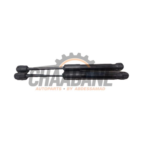Amortisseur capot moteur gauche 7877800410N BMW 3 serie Touring (G21) 320d xDrive 2.0 TwinPower Turbo 16V Hybrid 2019