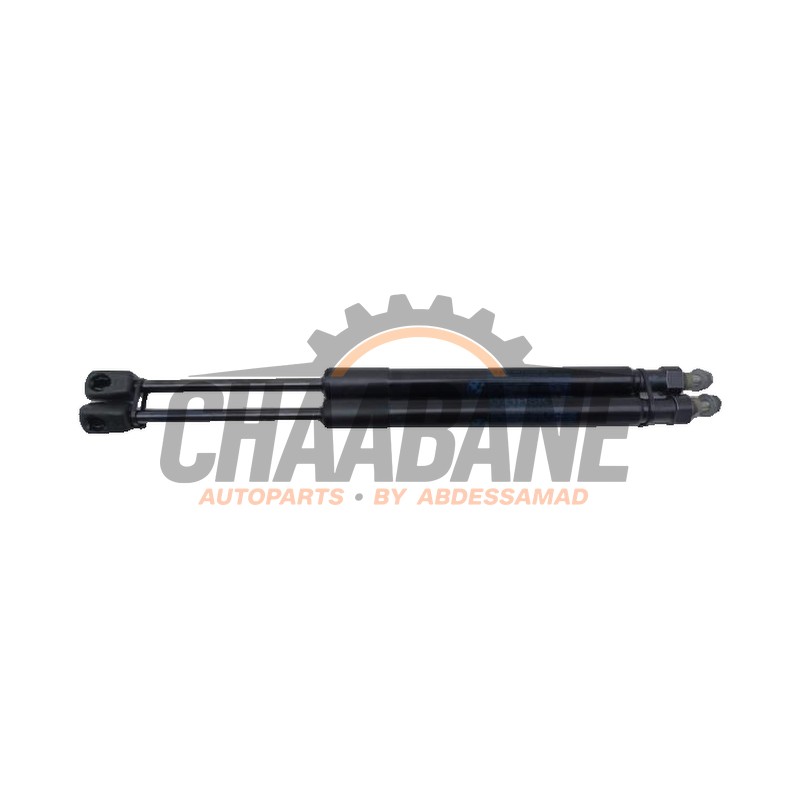 Verin de coffre 51247453412 BMW 3 serie Touring (G21) 320e xDrive 2.0 TwinPower Turbo 16V 2019