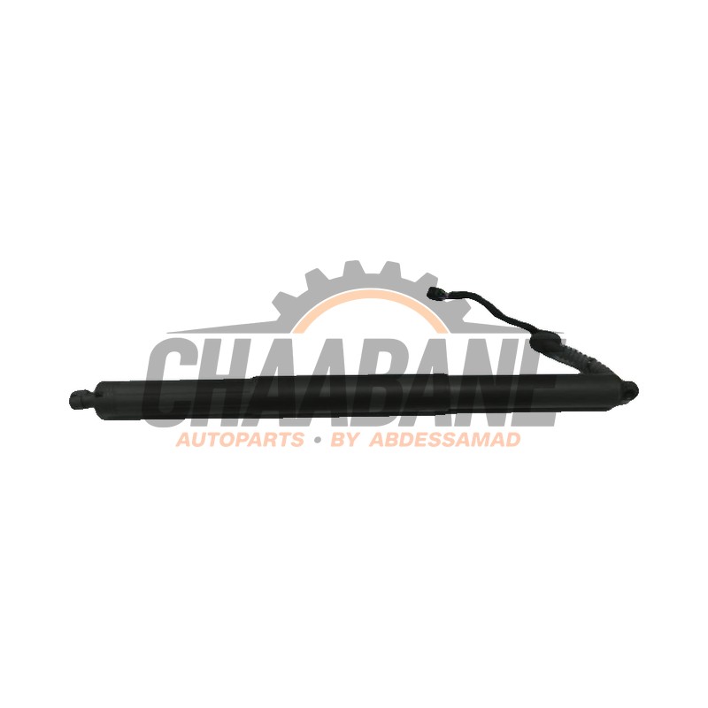 Amortisseur a gaz arriere gauche 80A827851C Audi Q5 2016