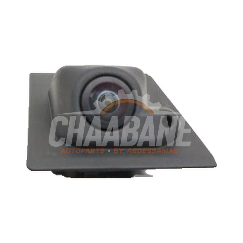 Camera de recul 4N0980546A Audi E-tron (GEN) 55 quattro 2018