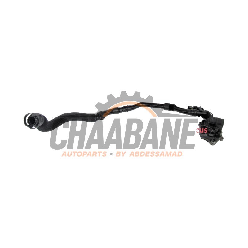 Valve RGE 06K131097L Audi A3 Limousine (8VS/8VM) 2.0 TFSI 16V Quattro 2013 / 2020