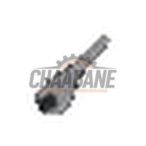 Barre feux arriere gauche + droite 10H945093 Cupra Born 2021