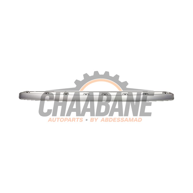 Bande decorative 81A807578TB2 Audi Q2 (GAB/GAG) 2016