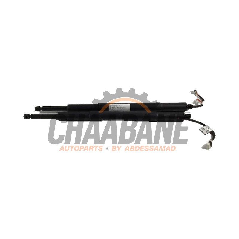 Coffre moteur 7453413 BMW 3-Serie 2019