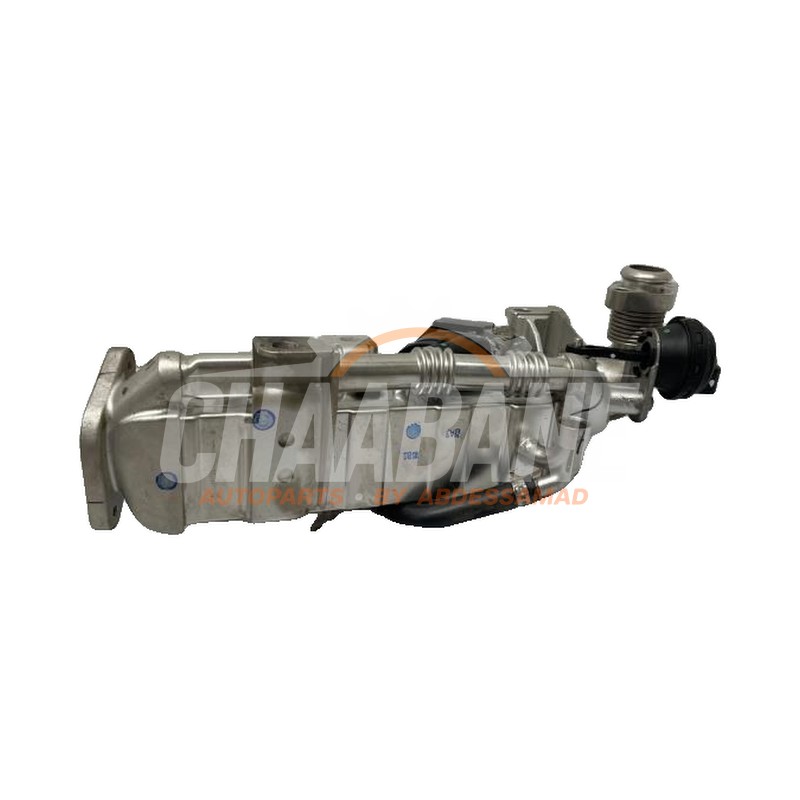 Valve RGE 782321008 BMW XD3 (F25) 3.0 Biturbo 24V 2013 / 2018