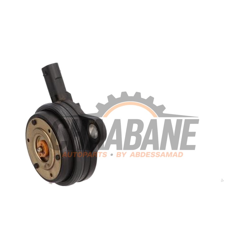 Reglage arbre a cames 06M109259N Audi RS 4 Avant (B9) 2.9 V6 TFSI 24V 2017