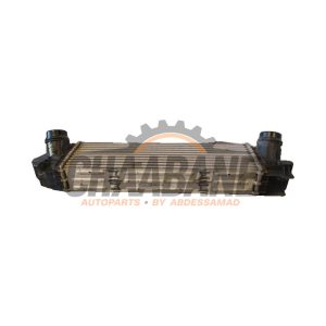 Intercooler PA66GF35 BMW 3 serie Touring (G21) 320d xDrive 2.0 TwinPower Turbo 16V Hybrid 2019