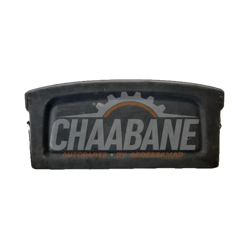 Plage arriere Cupra Born 77 e-boost 2021 10A86776987A