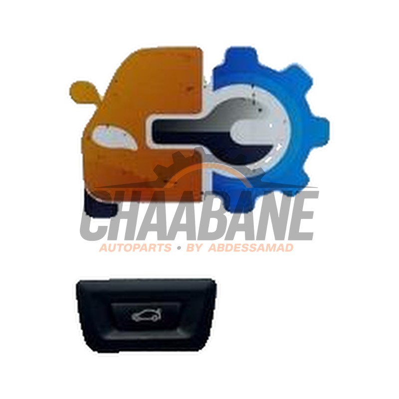 Commutateur hayon 9275119 BMW X1 (F48) xDrive 20d 2.0 16V 2014 / 2022