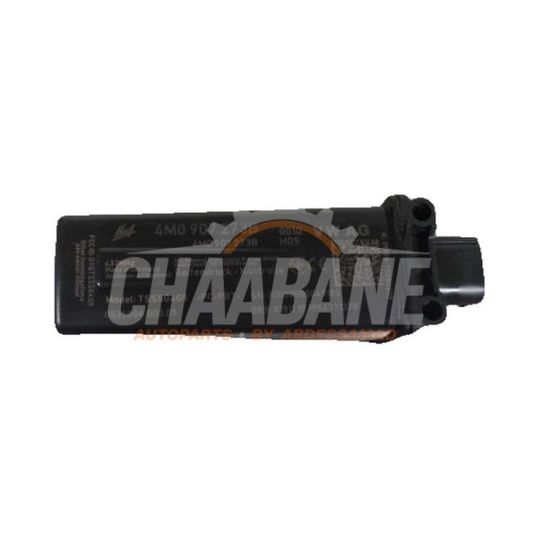Module gonflage pneus 4M0907273B Audi Q8 (4MN) 4.0 V8 32V RS TFSI Mild Hybrid Quattro 2018