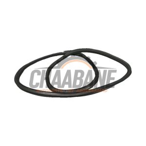 Joint caoutchouc portiere 4portes avant gauche 80A831721C Audi Q5 2016