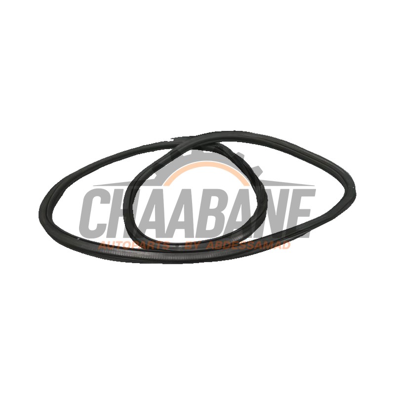 Joint caoutchouc portiere 4portes avant gauche 80A831721C Audi Q5 2020