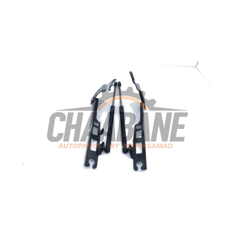 Charniere capot 571823302A Volkswagen Tiguan (CT1) 2.0 TDI 4Motion 2023