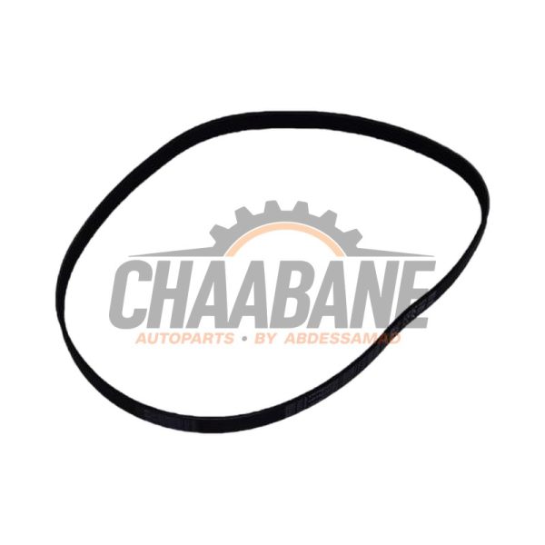 Courroie trapezoidale multiple 06Q903137A Volkswagen Golf VIII (CD1) 2.0 GTI 16V 2019