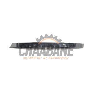 Baguette de porte BMW X5 (G05) xDrive 45 e iPerformance 3.0 24V 2018