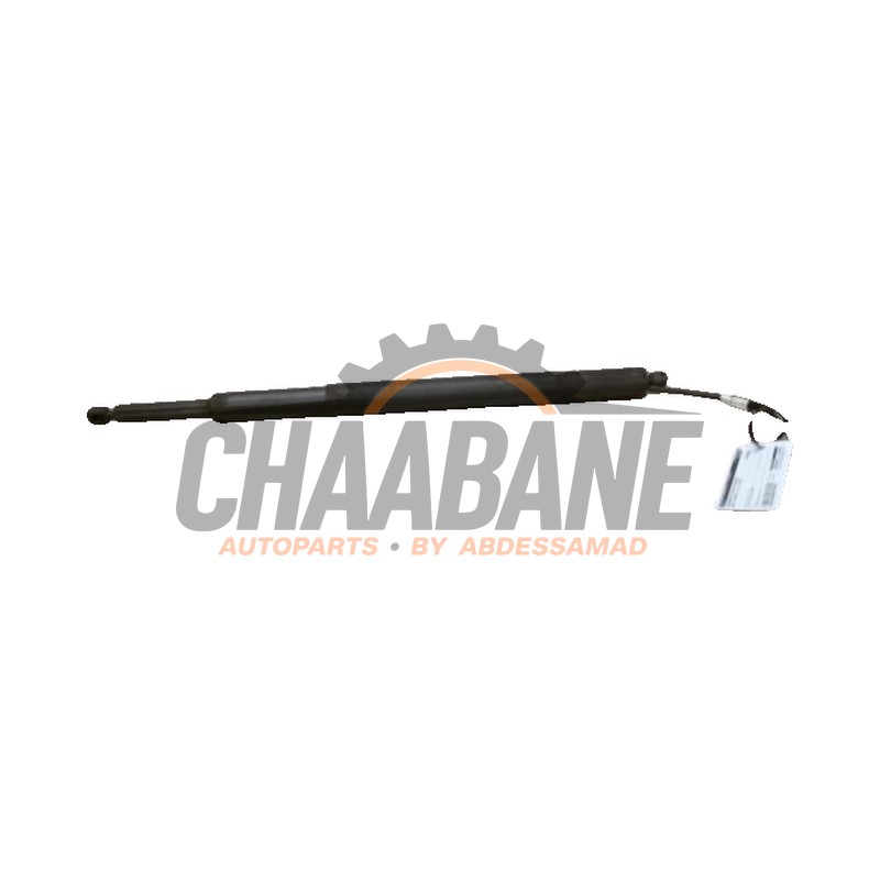 Amortisseur a gaz arriere droit 7453413 BMW 3 serie Touring (G21) 330i 2.0 TwinPower Turbo 16V 2019