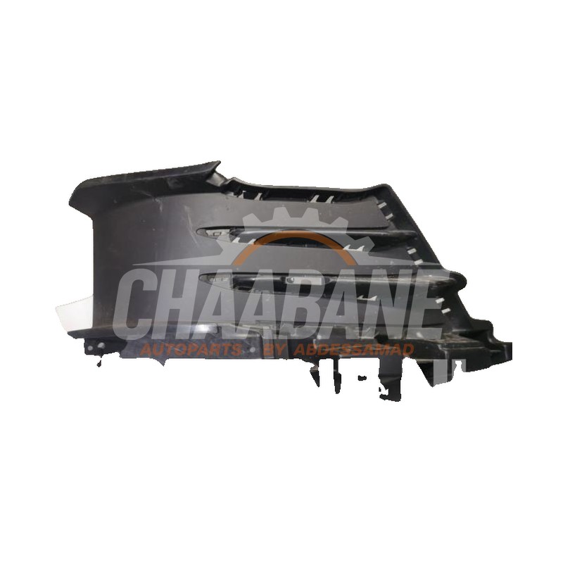 Guidage dair Cupra Born 58 e-boost 2021 10E807884B