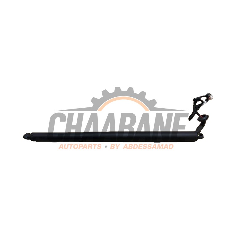 Moteur fermeture auxiliaire hayon A2478905500 Mercedes B (W247) 2.0 B-200d
